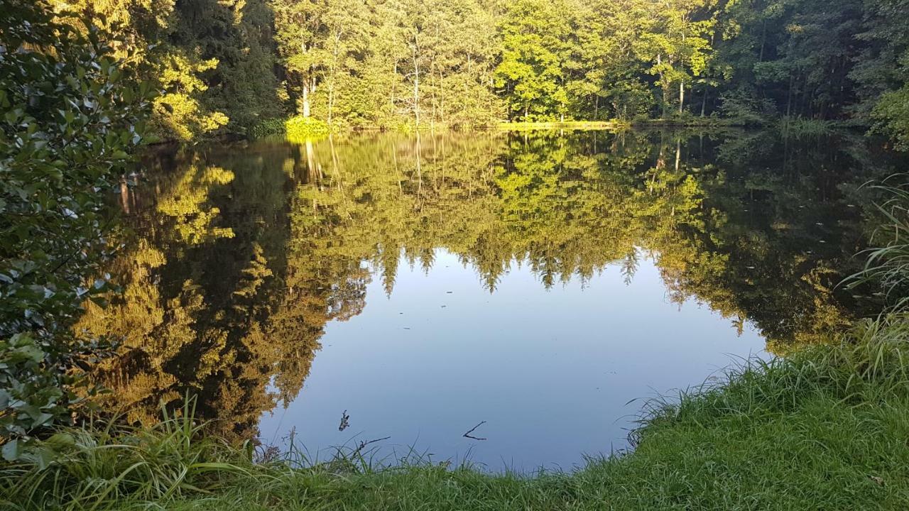 Apartman U Kolonady Mariánské Lázně Extérieur photo